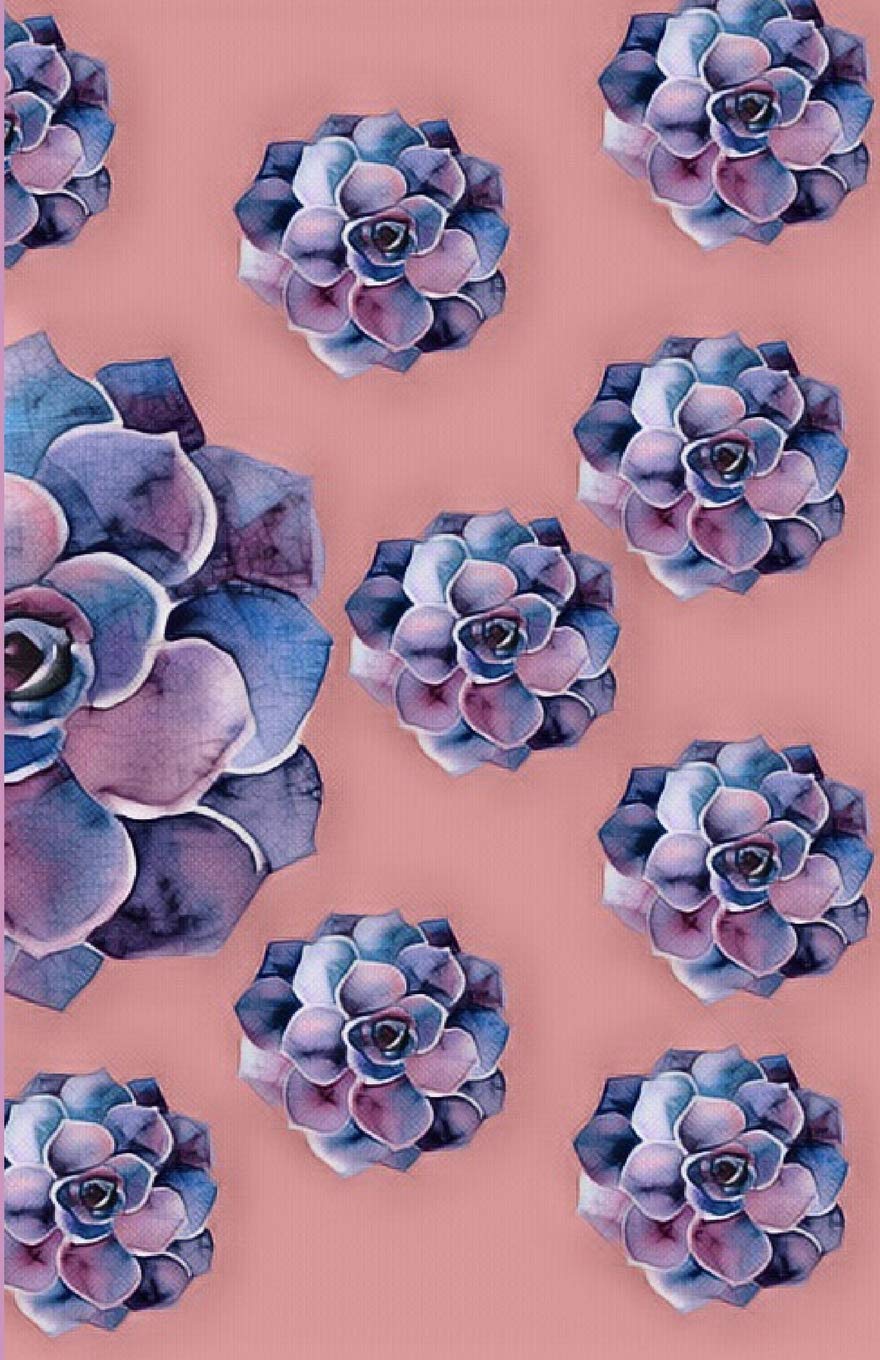 Weekly Planner: All the Purple Succulents Social Sciences
