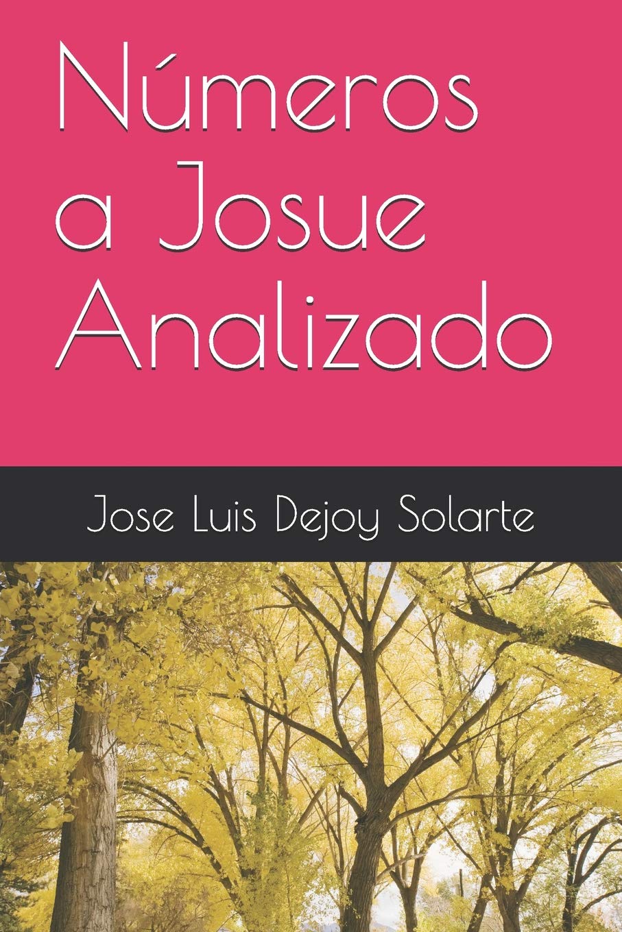 Números a Josue Analizado Education & Training