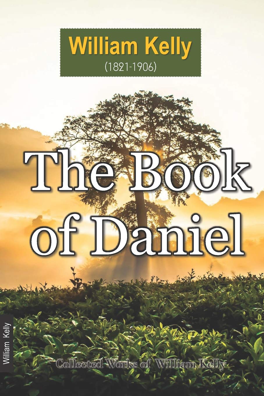 The Book of Daniel (Collected Works of William Kelly, Band 19) Social Sciences