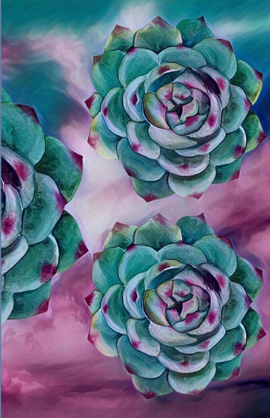 Weekly Planner: Succulents Into the Midnight Sky Social Sciences