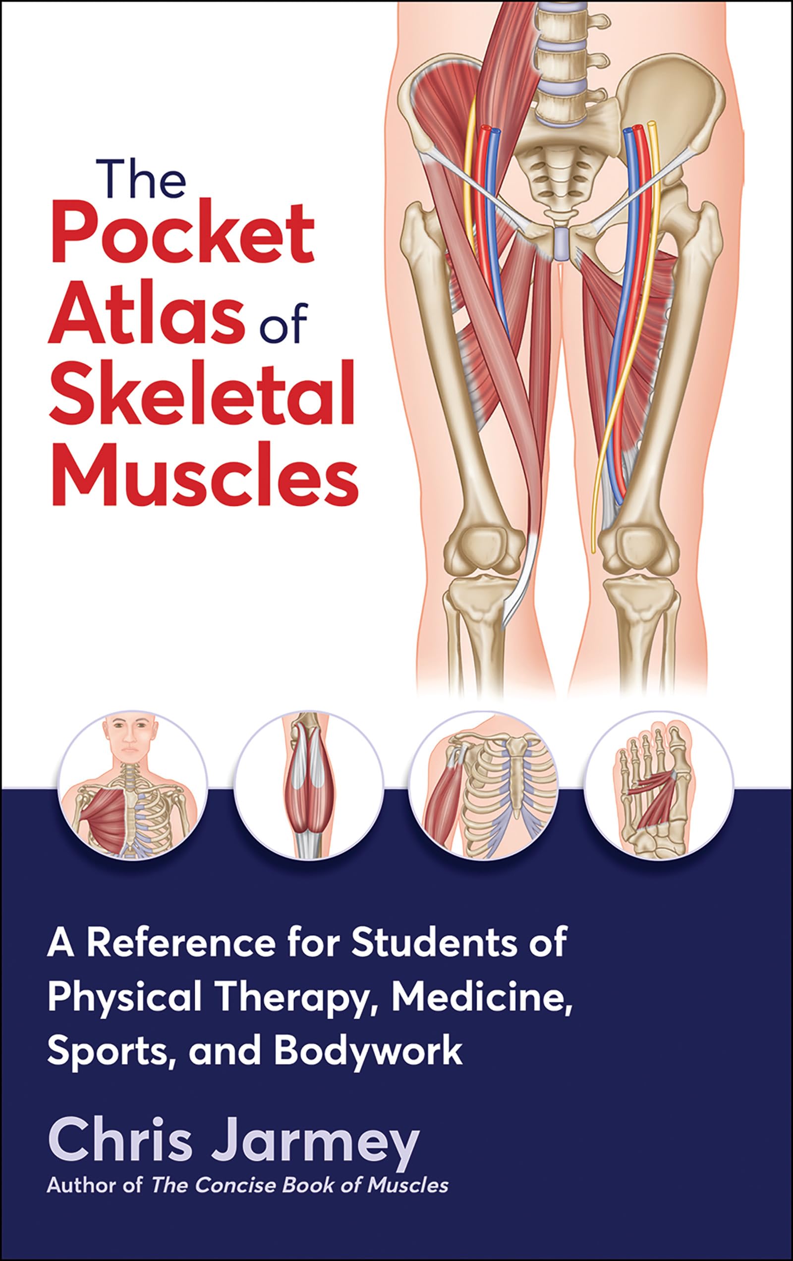 The Pocket Atlas of Skeletal Muscles: A Reference for Students of Physical Therapy, Medicine, Sports, and Bodywork Medicine