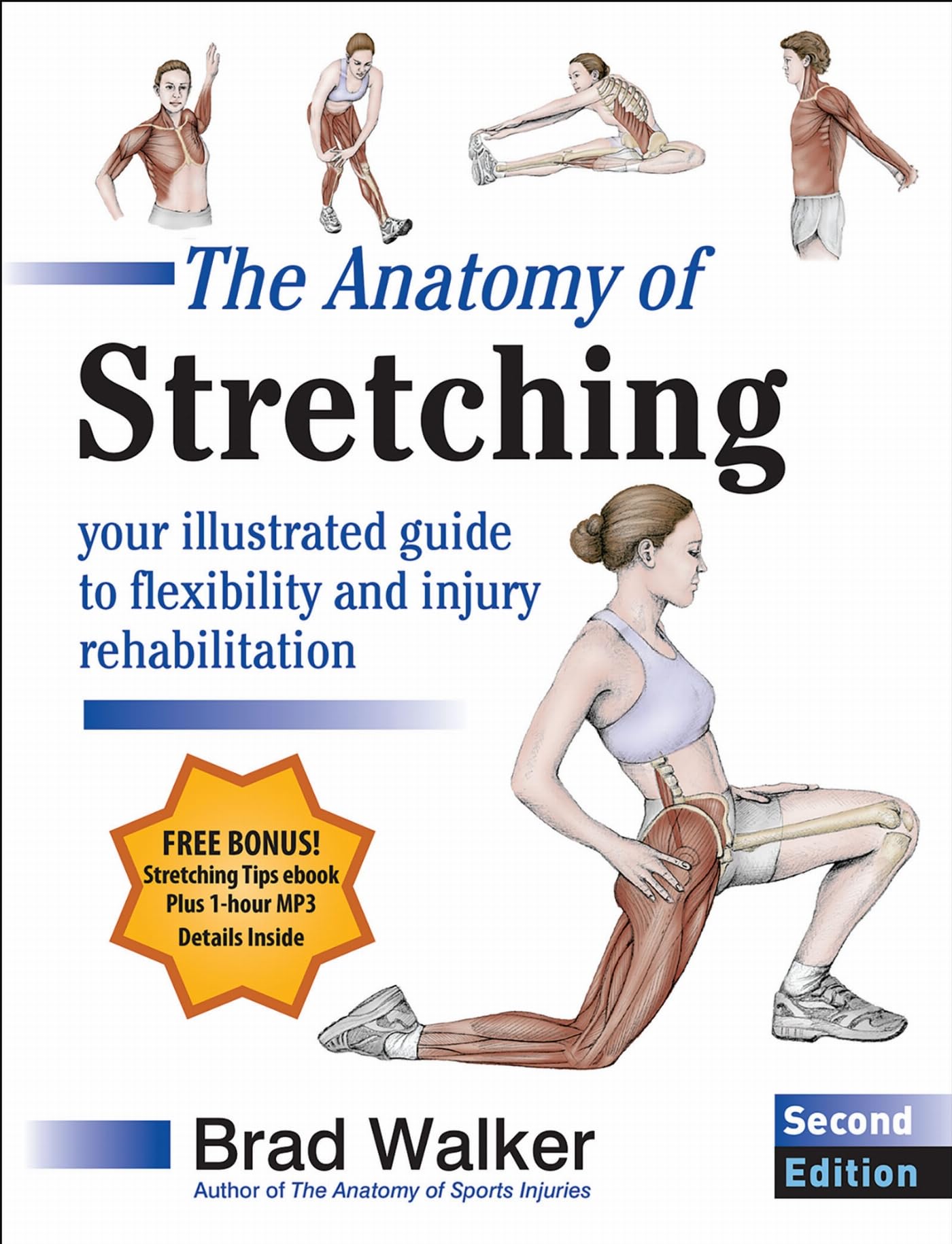 The Anatomy of Stretching: Your Illustrated Guide to Flexibility and Injury Rehabilitation Medicine