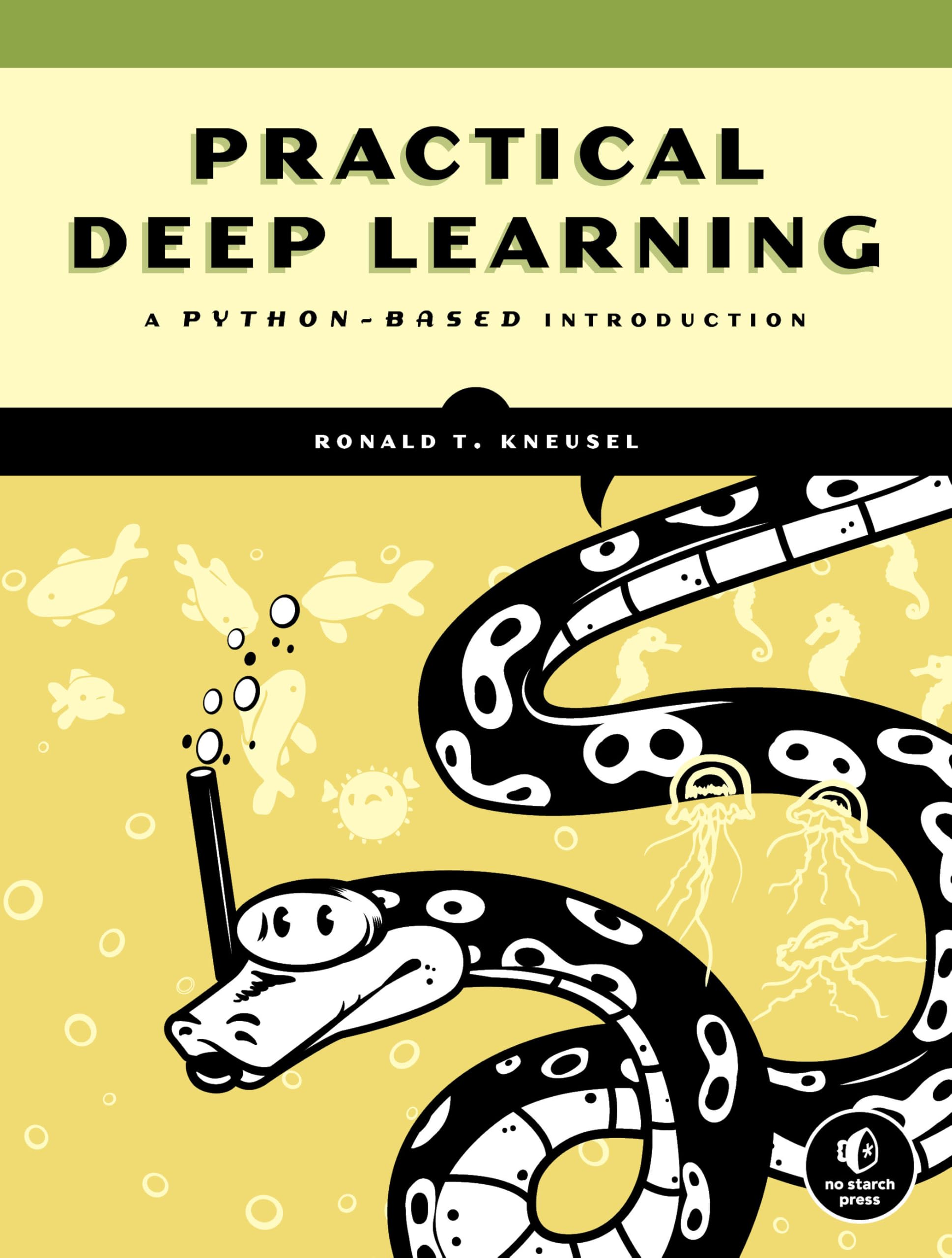 Practical Deep Learning: A Python-Based Introduction Computer Science