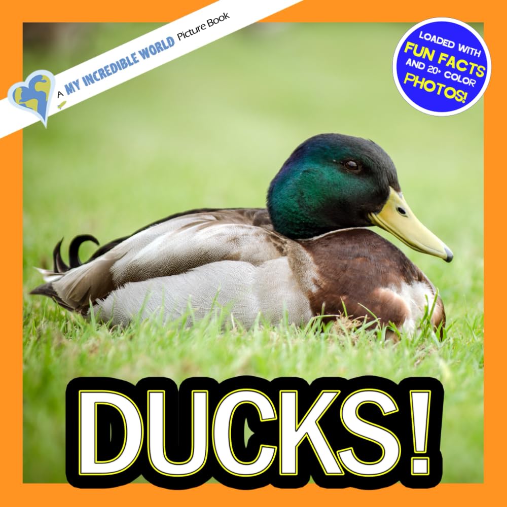 Ducks!: A My Incredible World Picture Book for Children (My Incredible World: Nature and Animal Picture Books for Children) Non-fiction