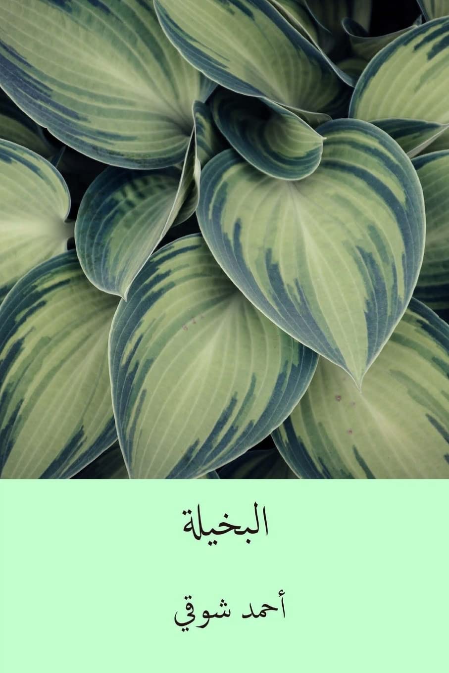 Product Image: El-Bakhila ( Arabic Edition )