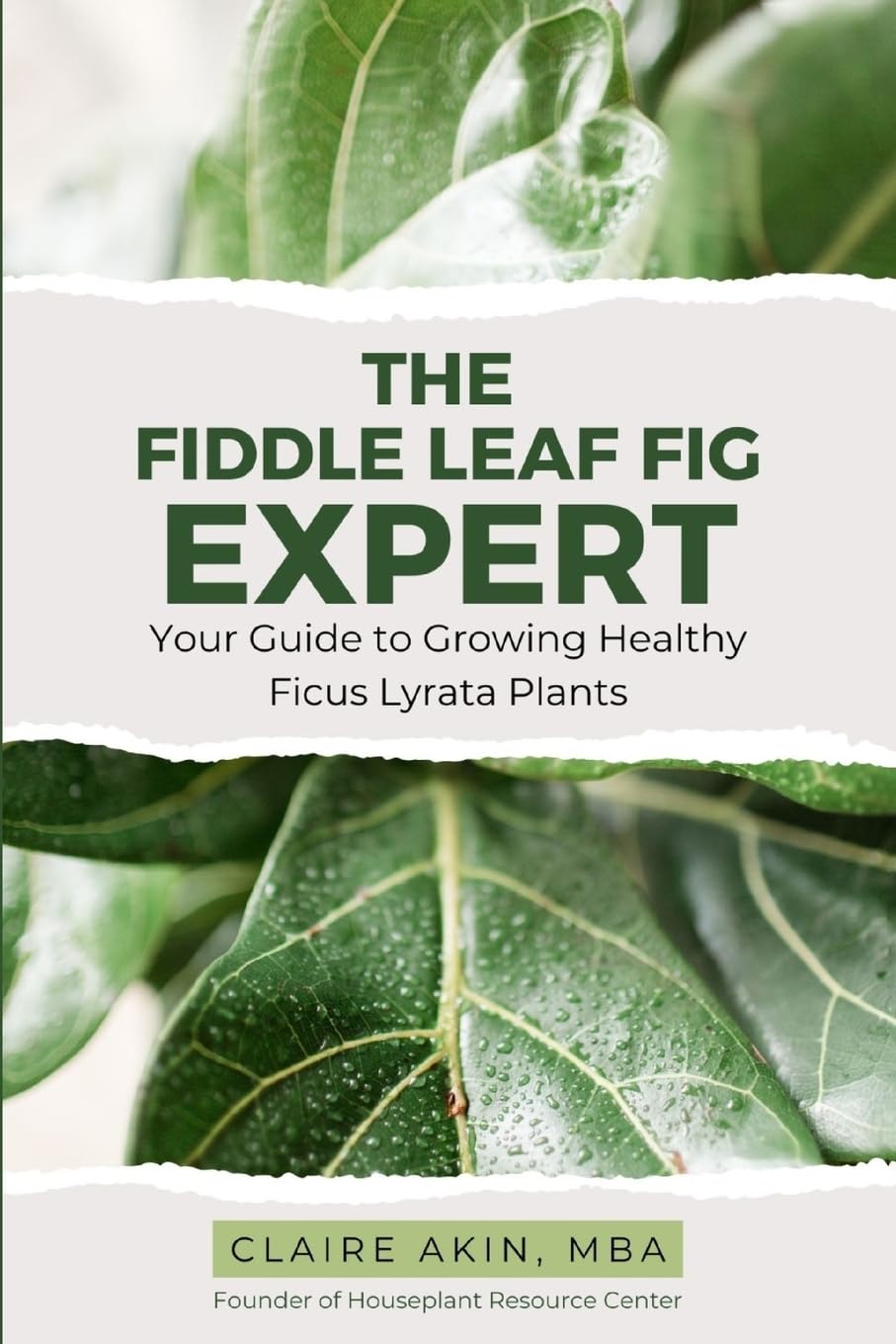 The Fiddle Leaf Fig Expert: Your Guide to Growing Healthy Ficus Lyrata Plants Garden & Plants