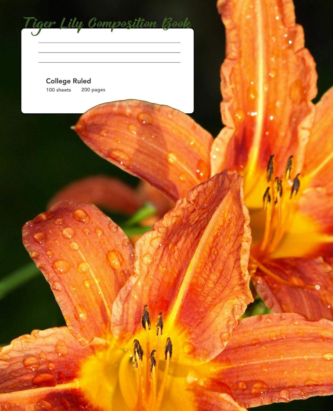 Tiger Lily College Ruled Composition Book: College Ruled Mathematics