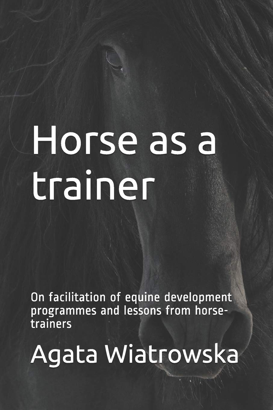 Horse as a trainer: On facilitation of equine development programmes and lessons from horse-trainers Business, Finance & Career