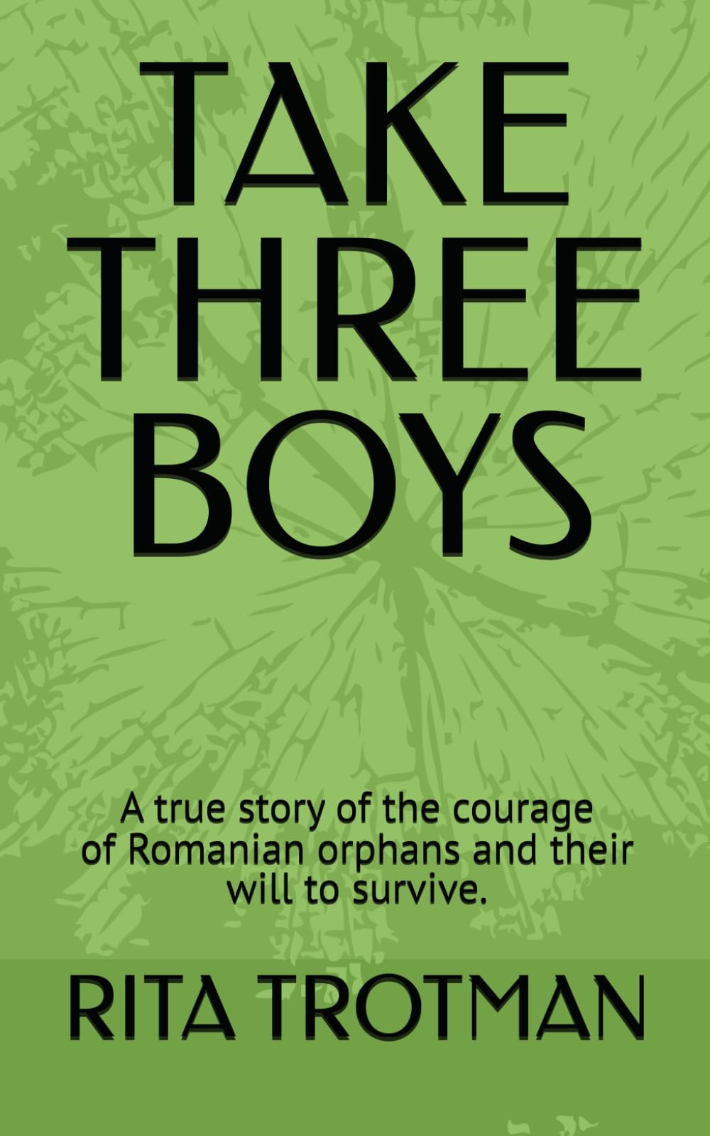 TAKE THREE BOYS: Courage, survival and a new life for Romanian orphans Art & Literature