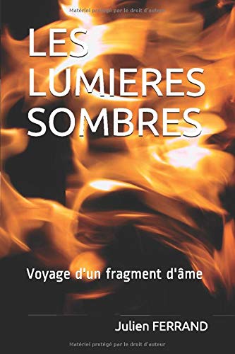 LES LUMIERES SOMBRES: Voyage d'un fragment d'âme book