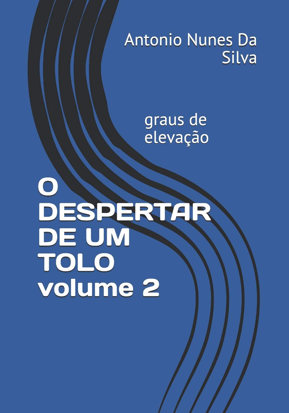 O DESPERTAR DE UM TOLO volume 2: graus de elevação Social Sciences