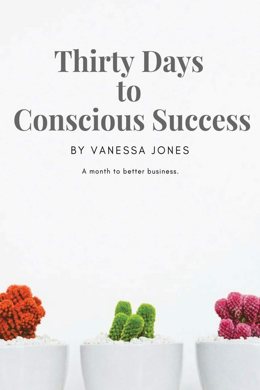 Thirty Days to Conscious Success (Mindset Marketing Series) Business, Finance & Career