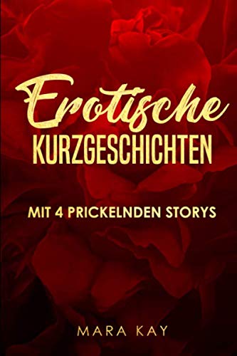 4 erotische Kurzgeschichten: Sexgeschichten ab 18 unzensiert Drama