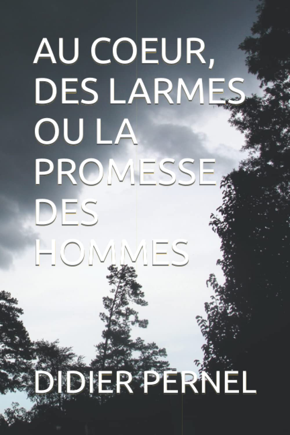AU COEUR, DES LARMES OU LA PROMESSE DES HOMMES Contemporary literature