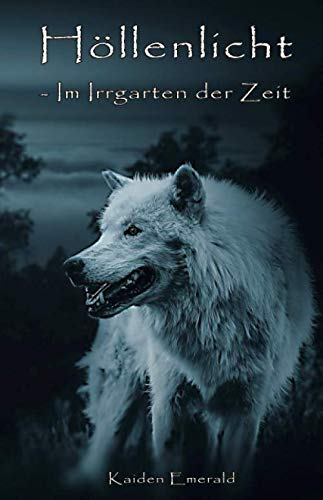 Höllenlicht: Im Irrgarten der Zeit book