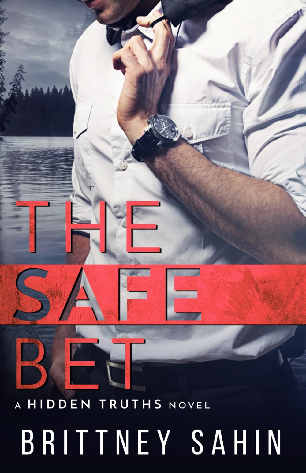 The Safe Bet (Hidden Truths, Band 1) Romantic Thrillers