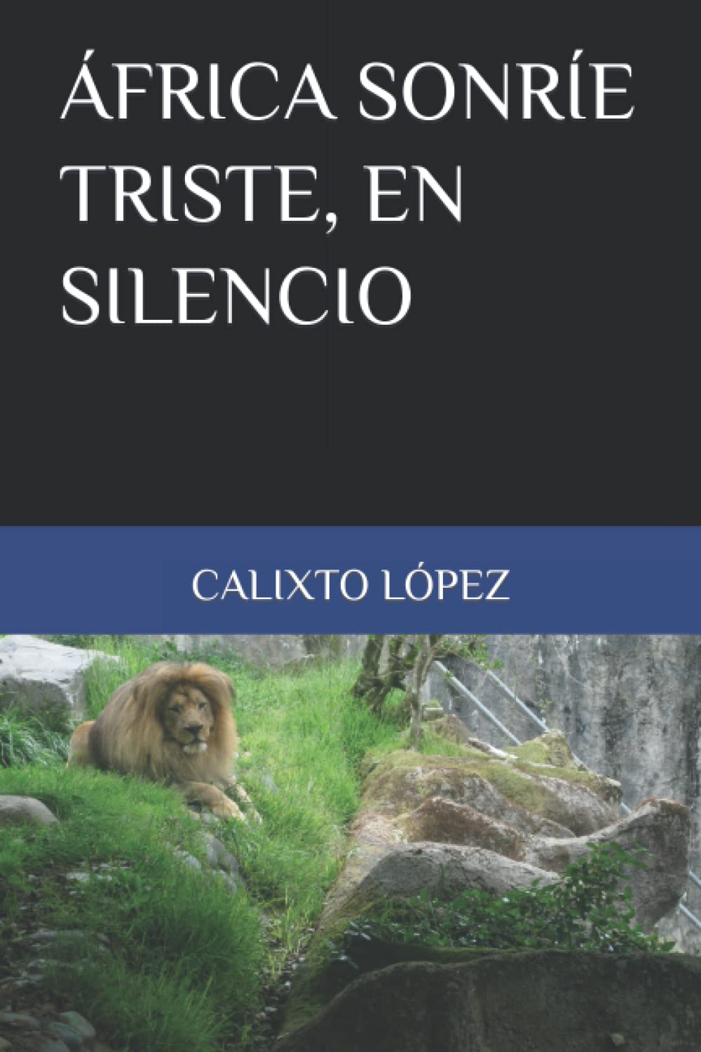 ÁFRICA SONRÍE TRISTE, EN SILENCIO book