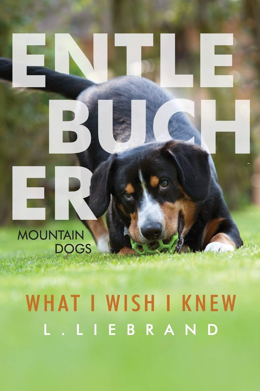 Entlebucher Mountain Dogs - What I Wish I Knew Memories