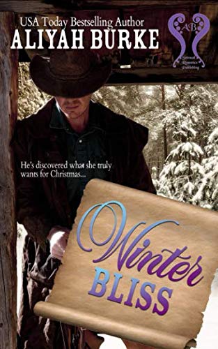Winter Bliss (Born to Fly, Band 4) Contemporary Romance