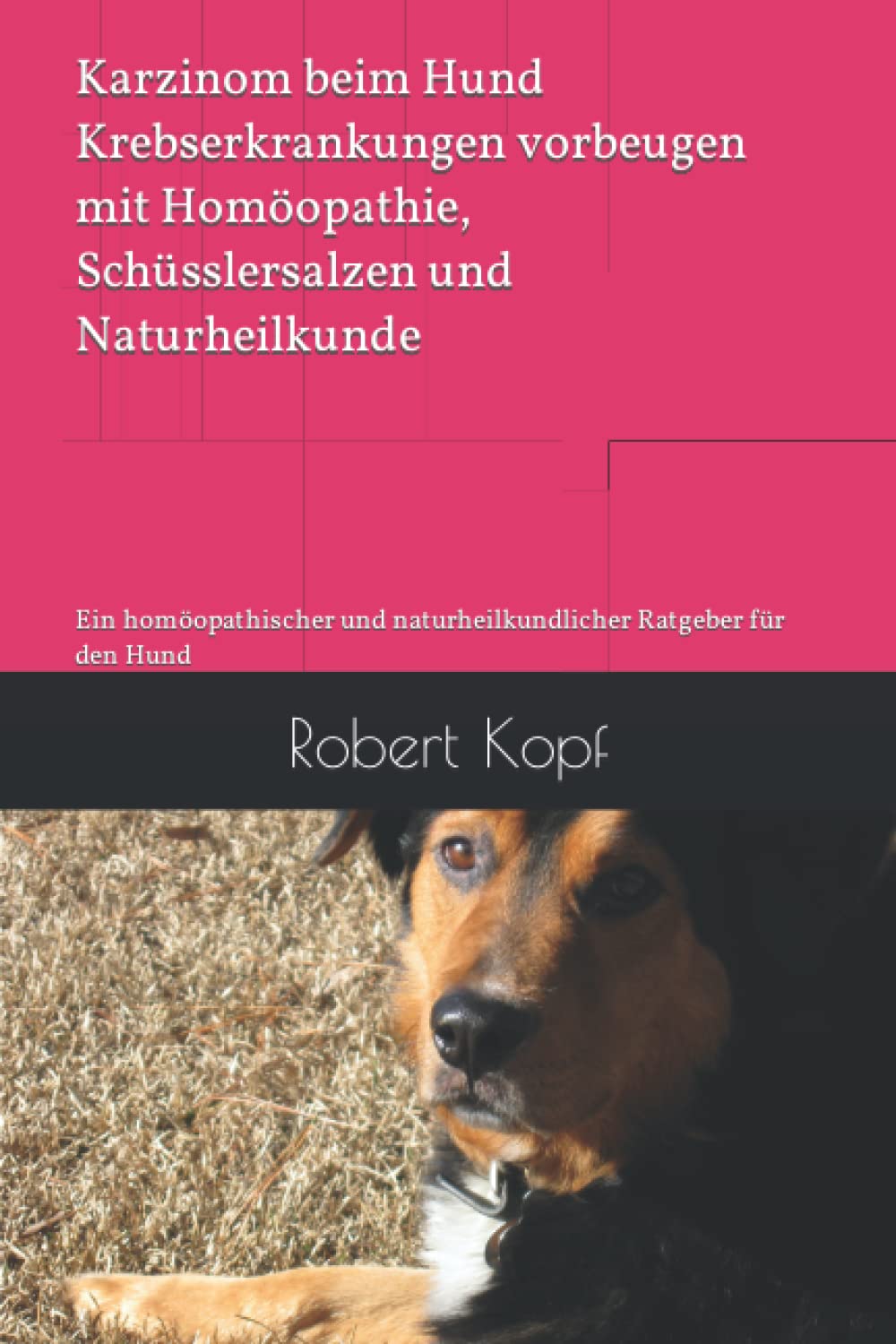 Karzinom beim Hund Krebserkrankungen vorbeugen mit Homöopathie, Schüsslersalzen und Naturheilkunde: Ein homöopathischer und naturheilkundlicher Ratgeber für den Hund book