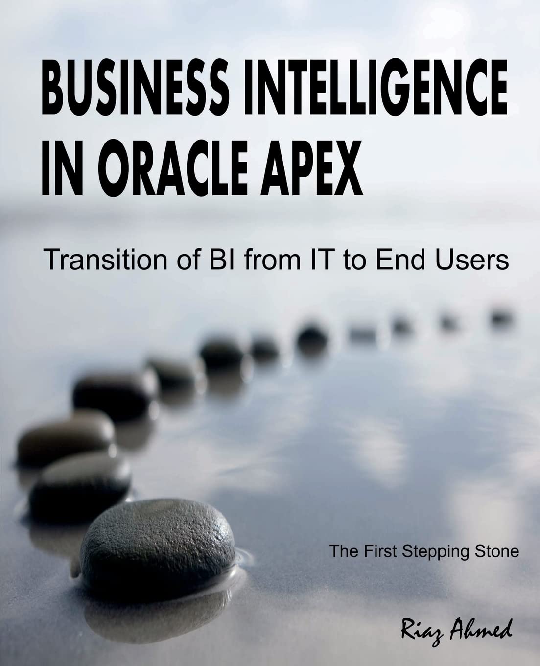 Business Intelligence in Oracle APEX: Transition of BI from IT to End Users Computer Science