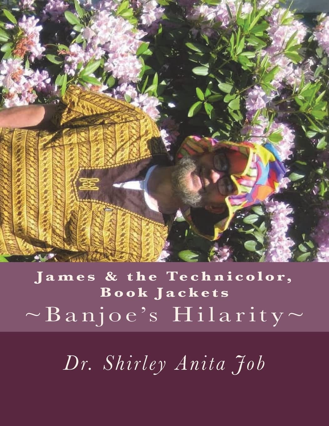 James & The Technicolor, Book Jackets: shirleyanitajob.com Books