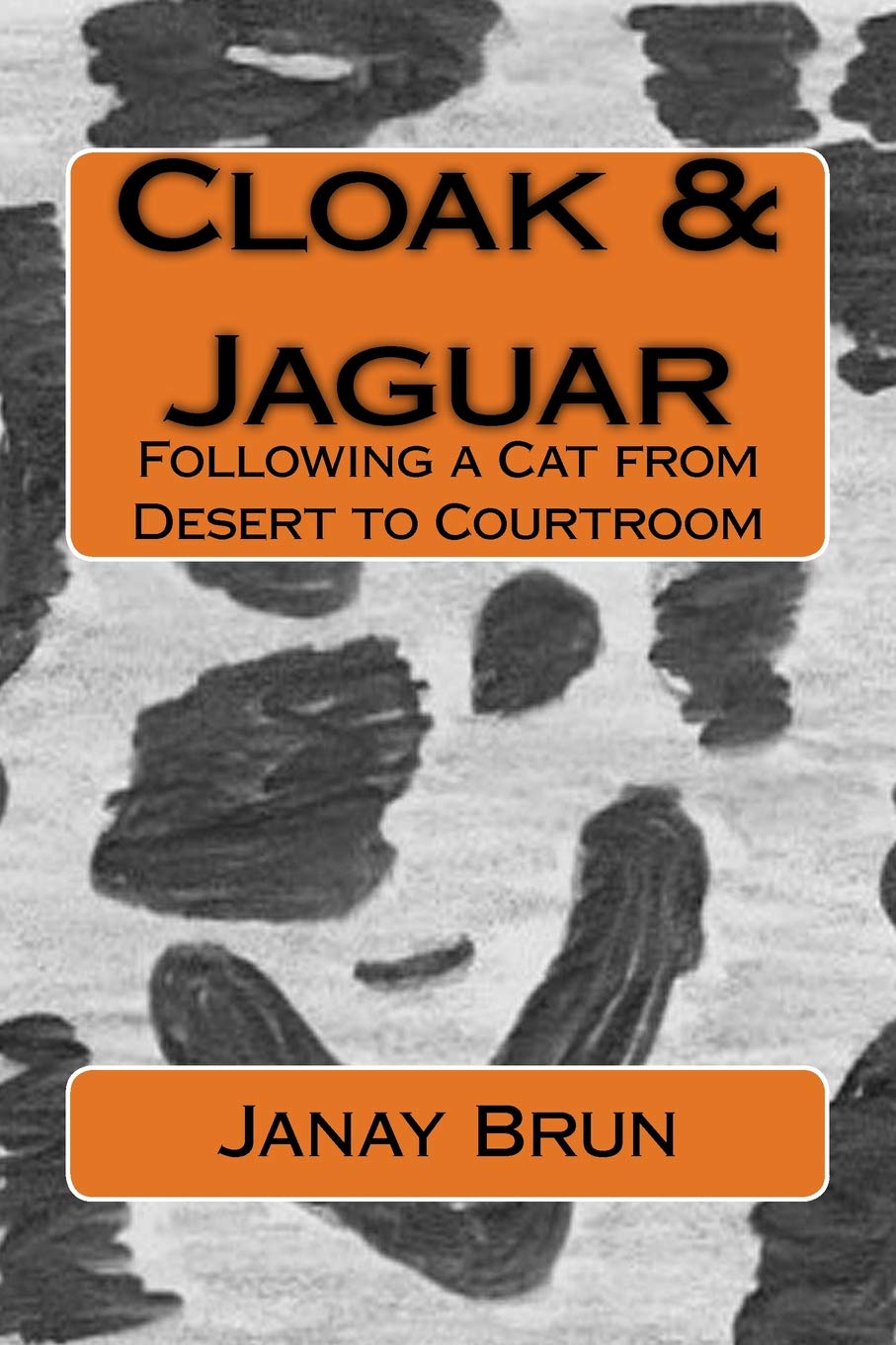 Cloak & Jaguar: Following a Cat from Desert to Courtroom Mathematics