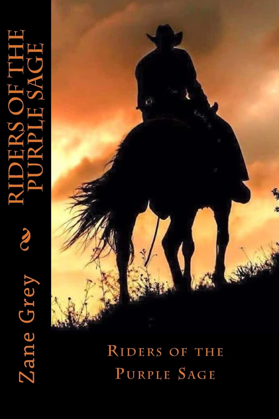 Riders of the Purple Sage Contemporary literature