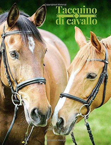 Taccuino di cavallo: Libro stupendo per amante dei cavalli, quaderno di composizione in carta a righe 200 diario 7.44 "x 9.69" book