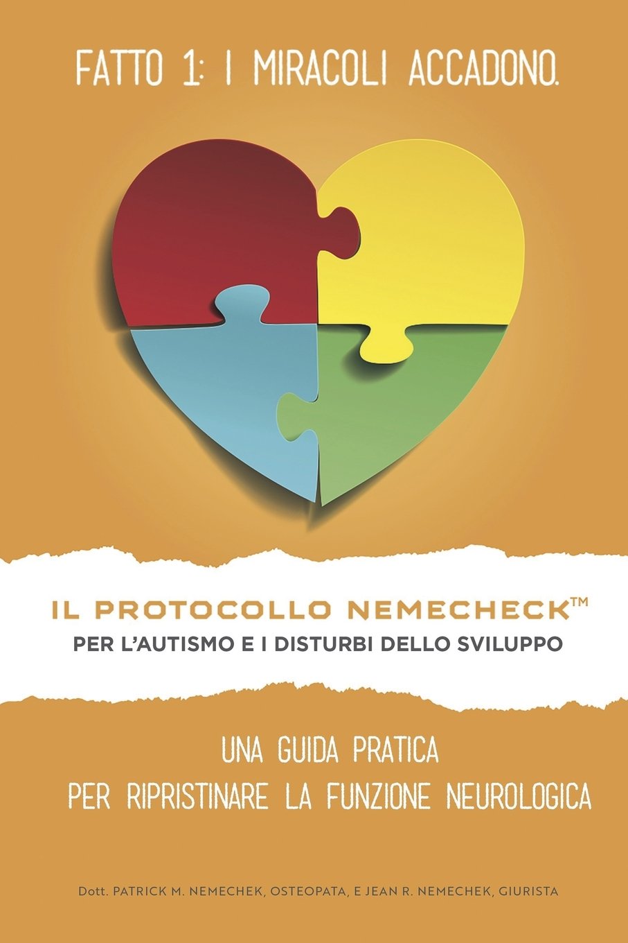 Il Protocollo Nemechek Per L?autismo E Ritardo Dello Sviluppo: Una Guida Pratica Per Ripristinare La Funzione Neurologica book