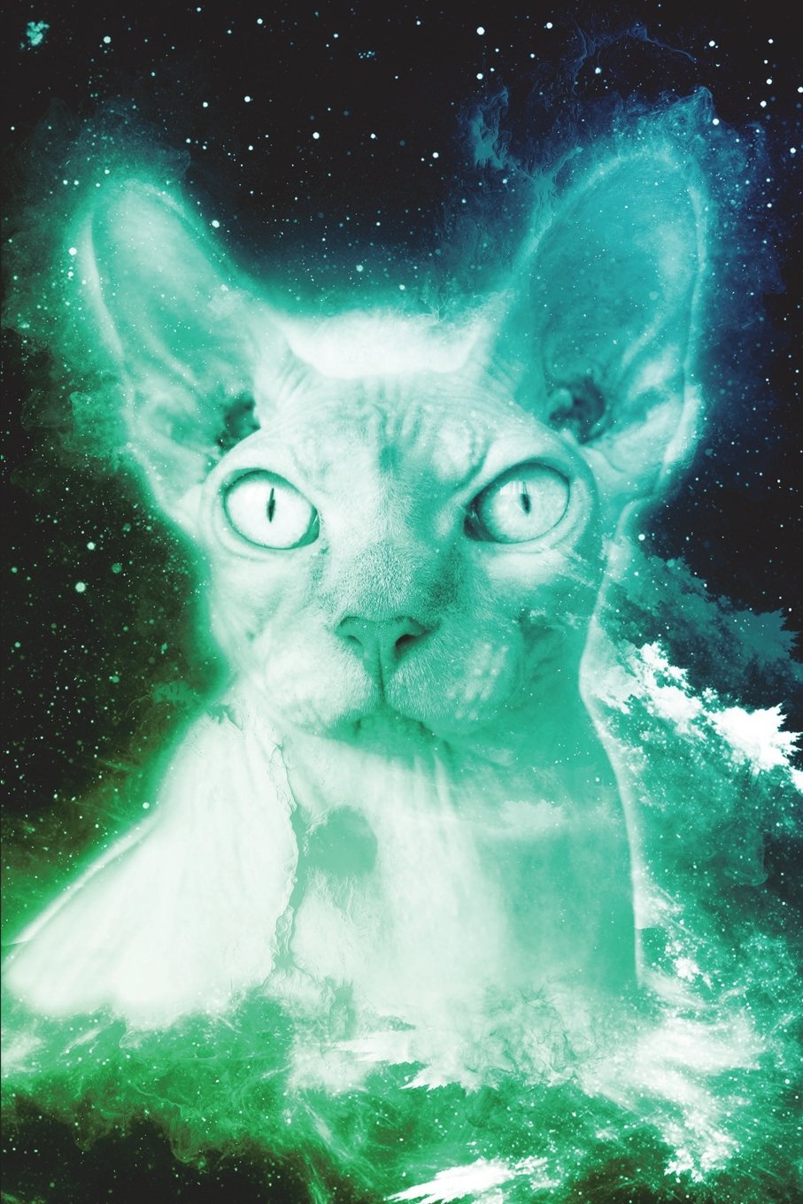 Sphynx Cat In Space Notebook (Vol 4): Cool Space Hairless Cat Lined Composition Book/Diary/Journal For Students, 6 x 9, 130 Pages, Blue Green book