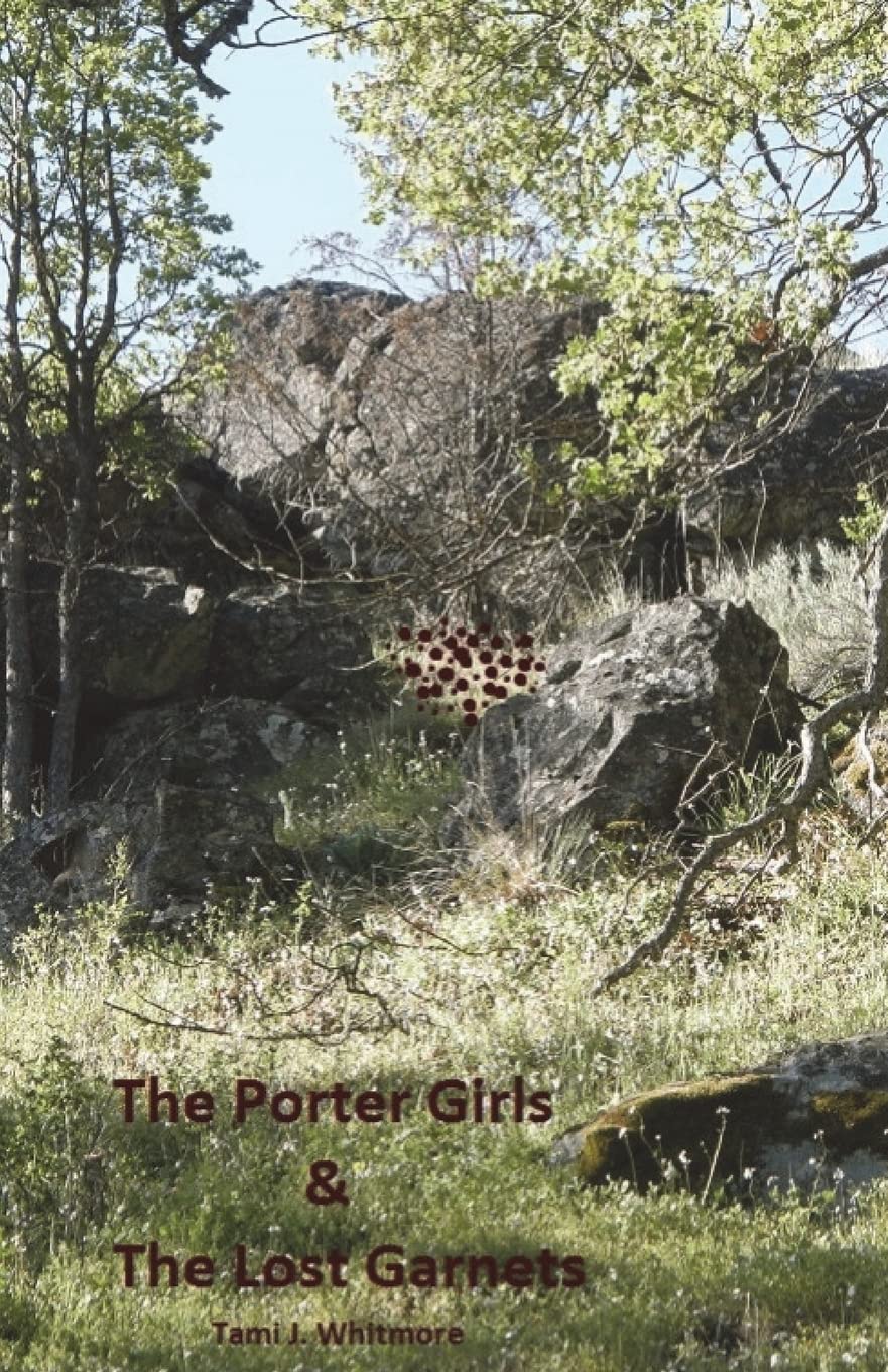 The Porter Girls & the Lost Garnets book