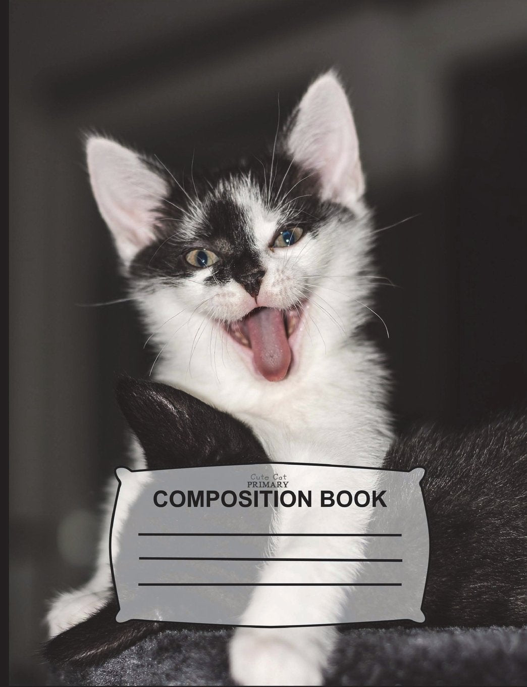 Cute Cat Primary Composition Book: Creative Story Notebook with handwriting guidelines and drawing space Grades K-2 Cute Journal for girls, boys, ... students & teachers 108 Pages (7.44 x 9.69) book