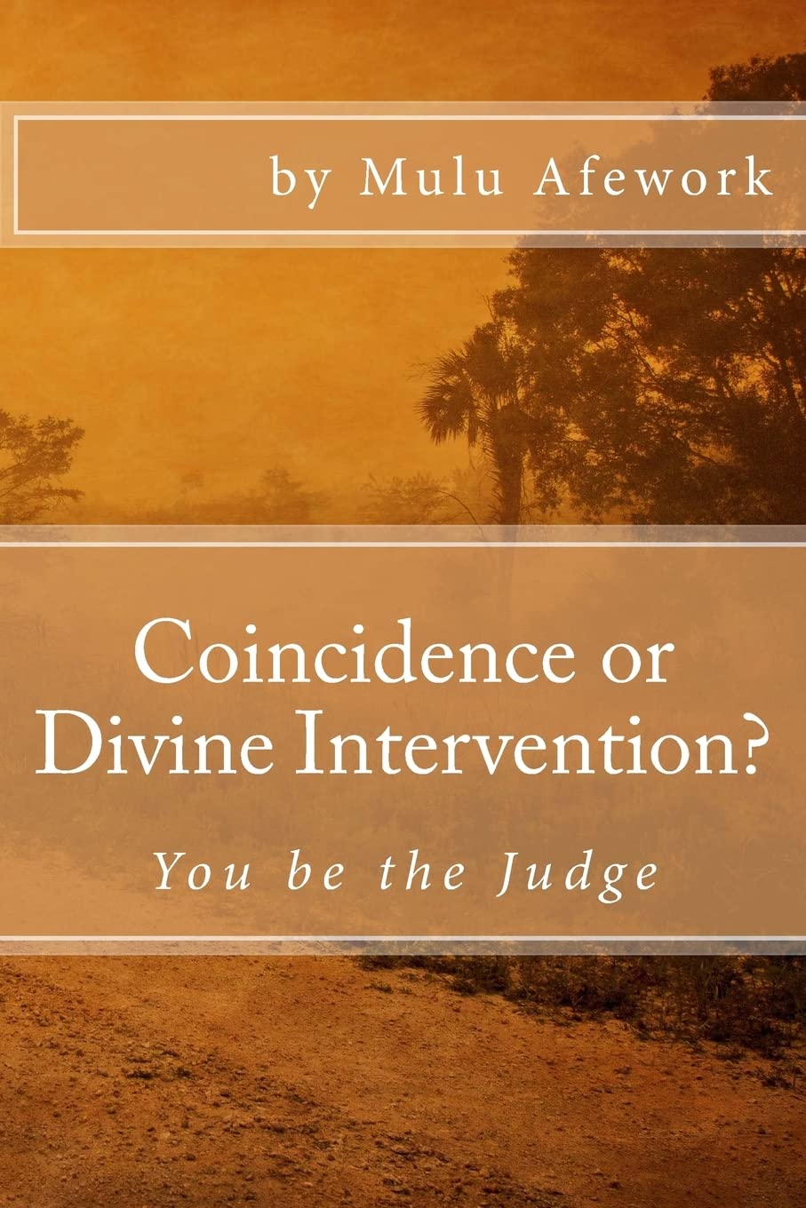 Coincidence or Divine Intervention: You be the Judge book