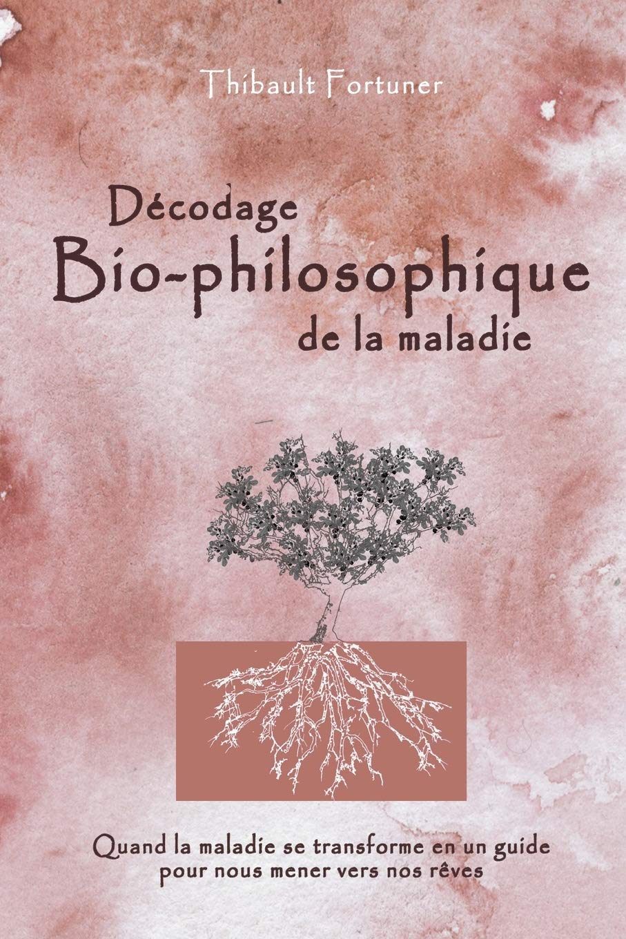 Décodage bio-philosophique de la maladie: Quand la maladie se transforme en un guide pour nous mener vers nos rêves Philosophy