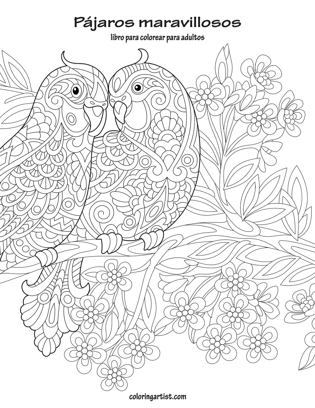 Pájaros maravillosos libro para colorear para adultos 1 Film, Art & Culture
