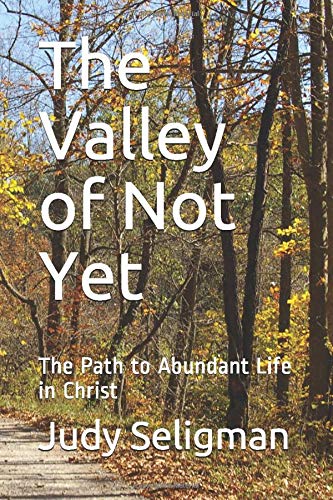 The Valley of Not Yet: The Path to Abundant Life in Christ book