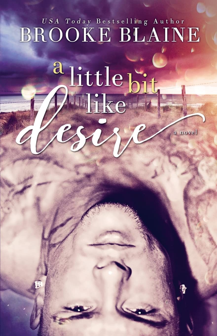 A Little Bit Like Desire (South Haven, Band 2) LGBTQ+