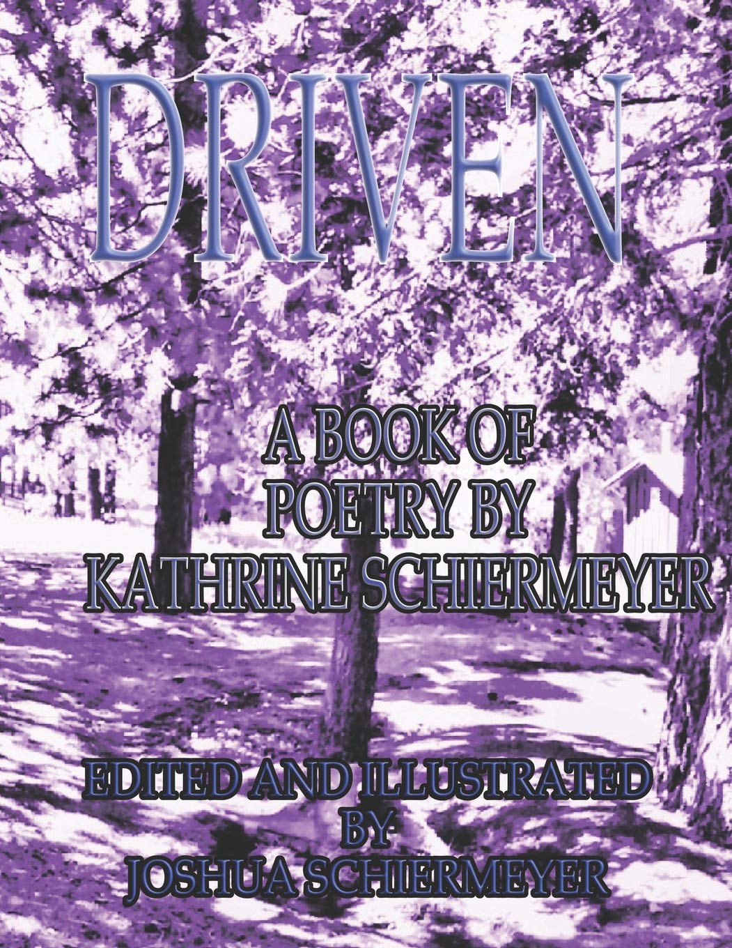 Driven: A Book of Poetry By Kathrine Schiermeyer Contemporary literature