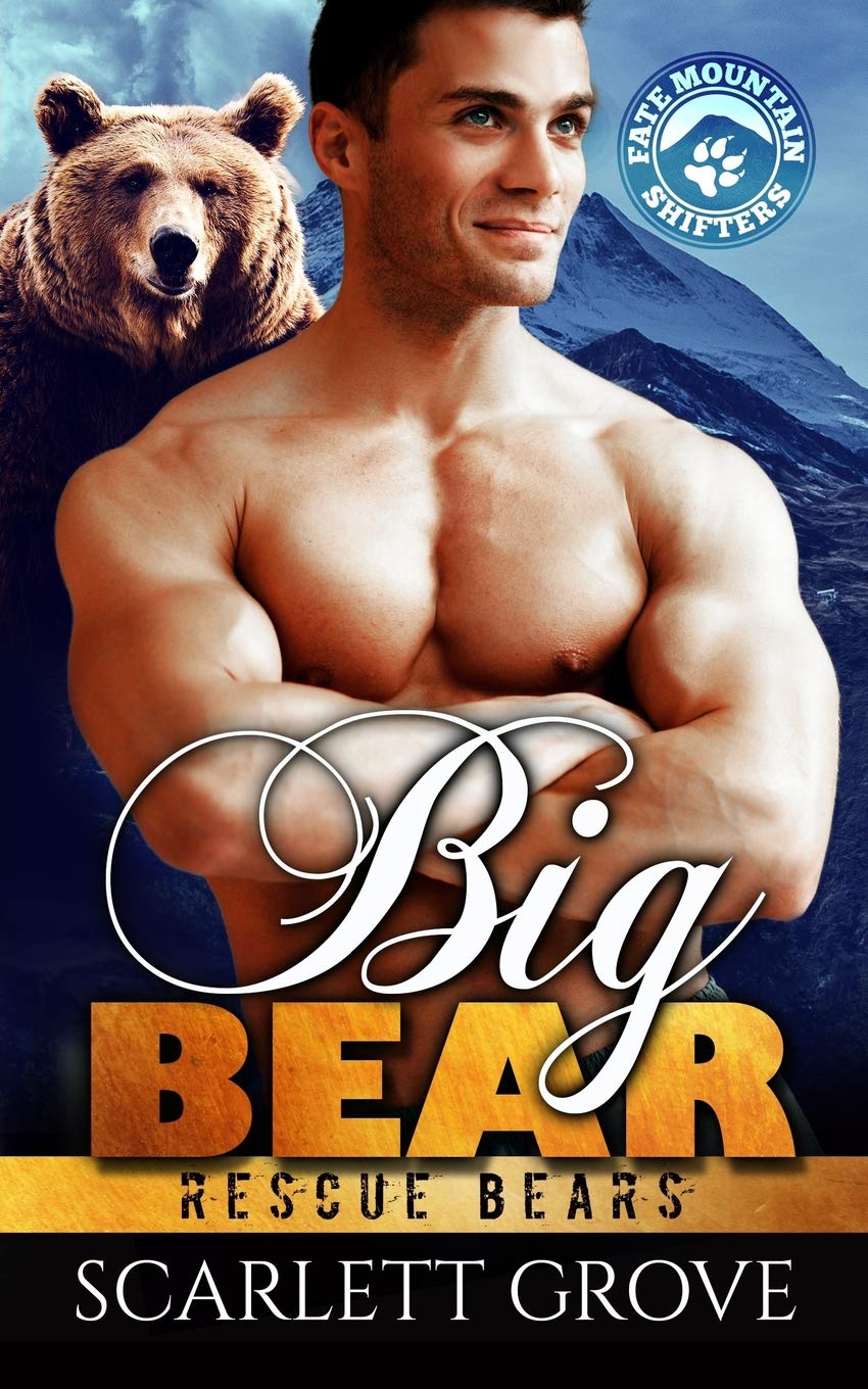 Big Bear (Rescue Bears, Band 3) Contemporary literature