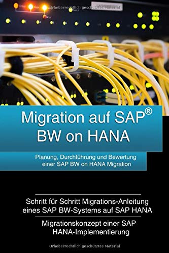 Migration auf SAP BW on HANA: Planung, Durchführung und Bewertung einer SAP BW on HANA Migration Books