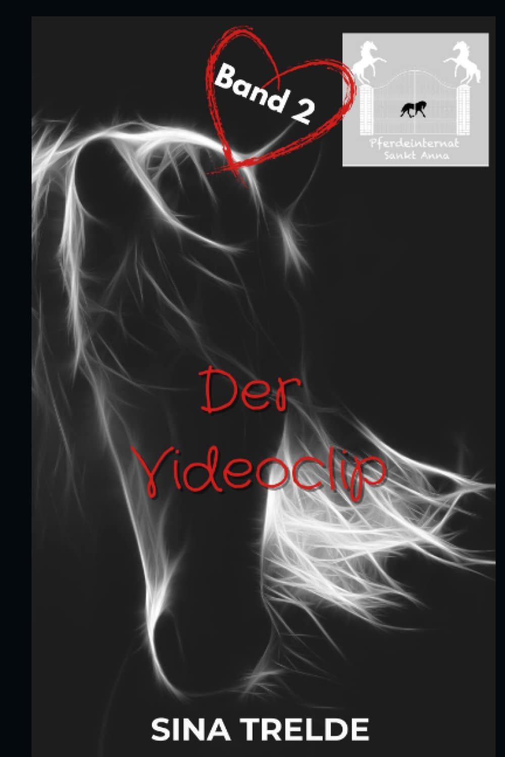 Der Videoclip (Pferdeinternat Sankt Anna, Band 2) Novels & Short Stories