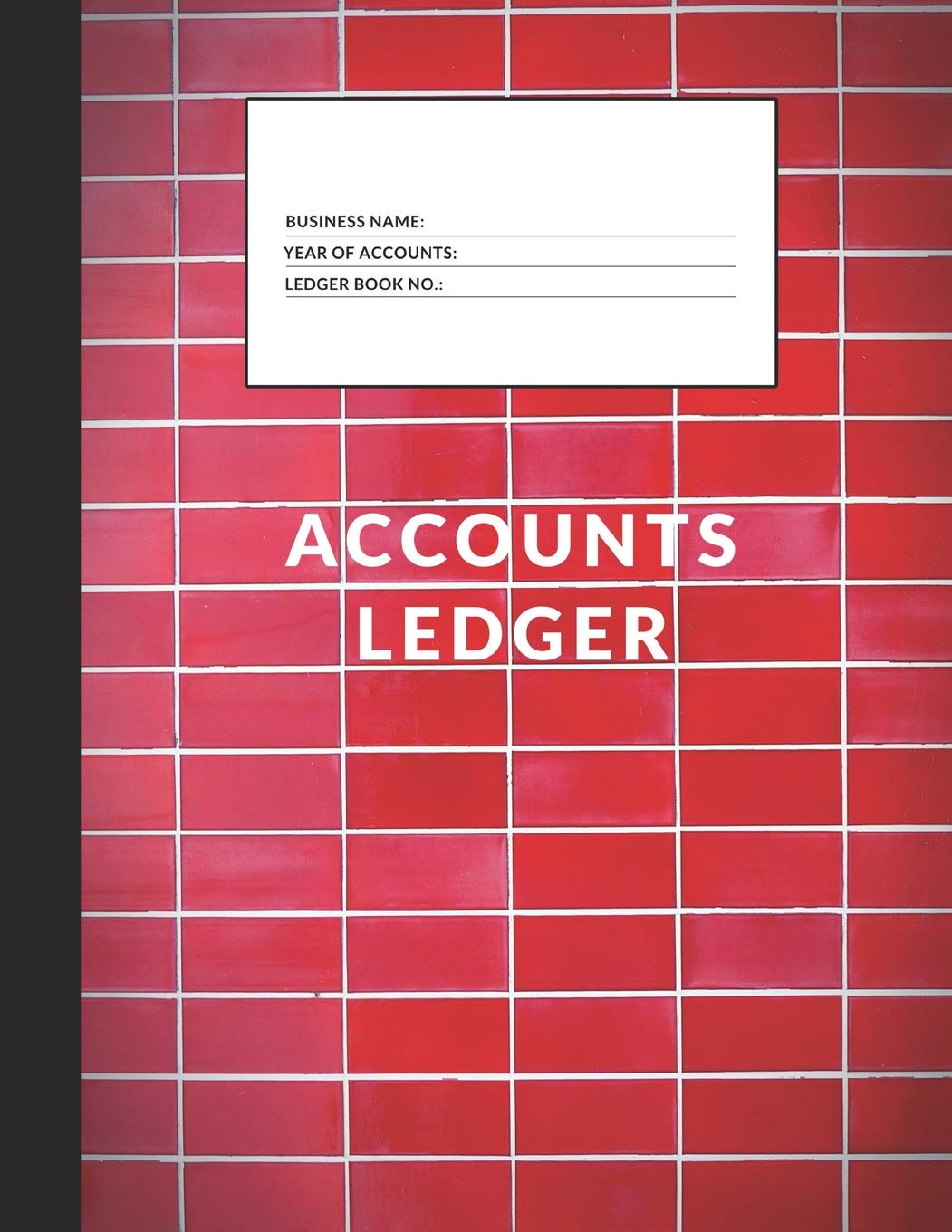 Accounts Ledger: Simple Accounts Ledger for Home or Business (Simple Accounts Ledger 8.5 x 11, Band 16) Business, Finance & Career