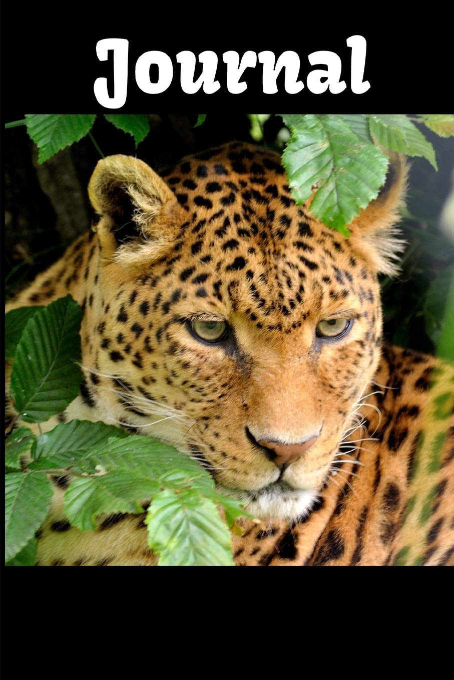 Journal: Beautiful Leopard themed Journal 6" x 9" 100 pages Contemporary literature