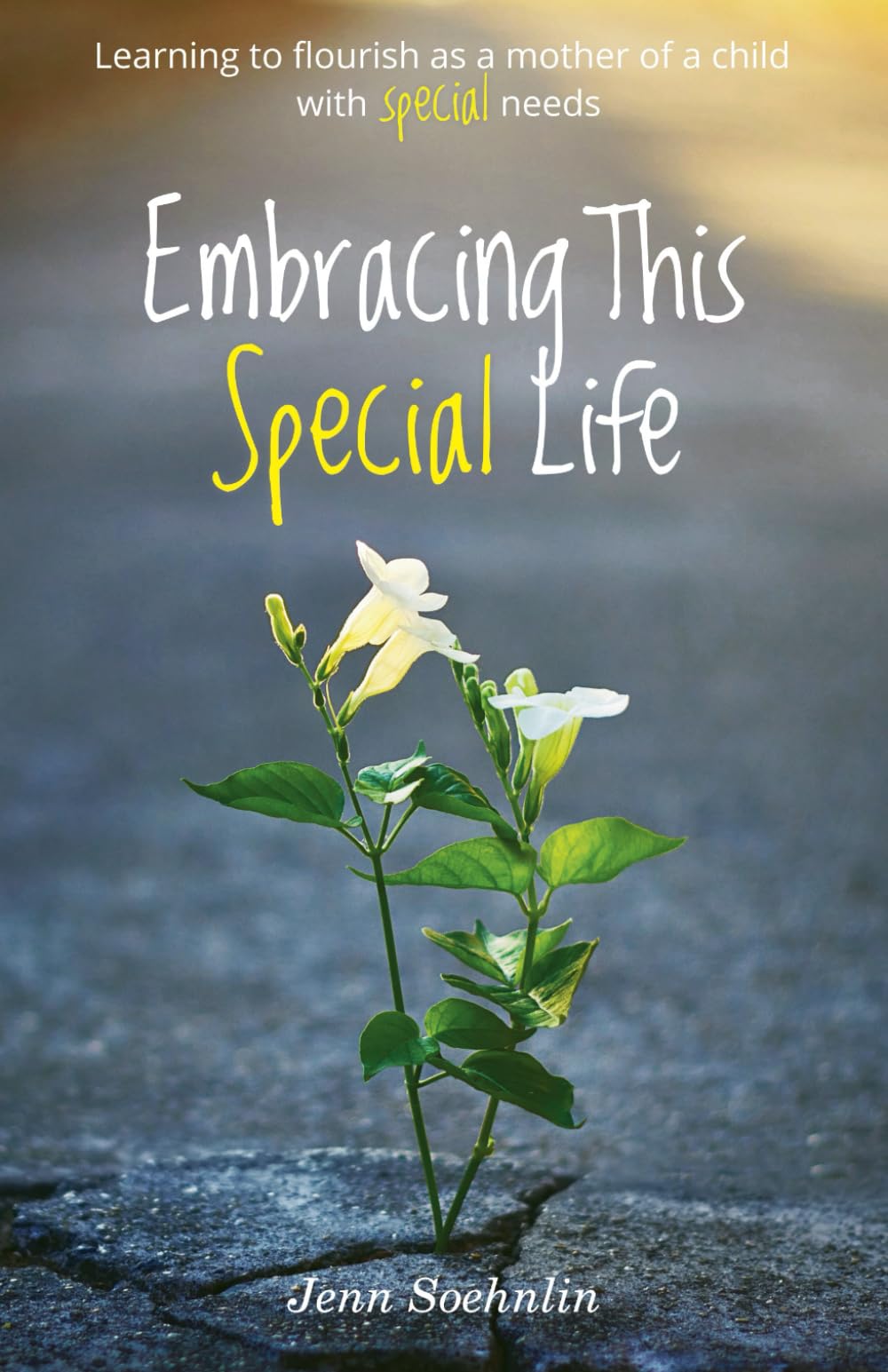 Embracing This Special Life: Learning To Flourish as a Mother of a Child with Special Needs Parents & Children