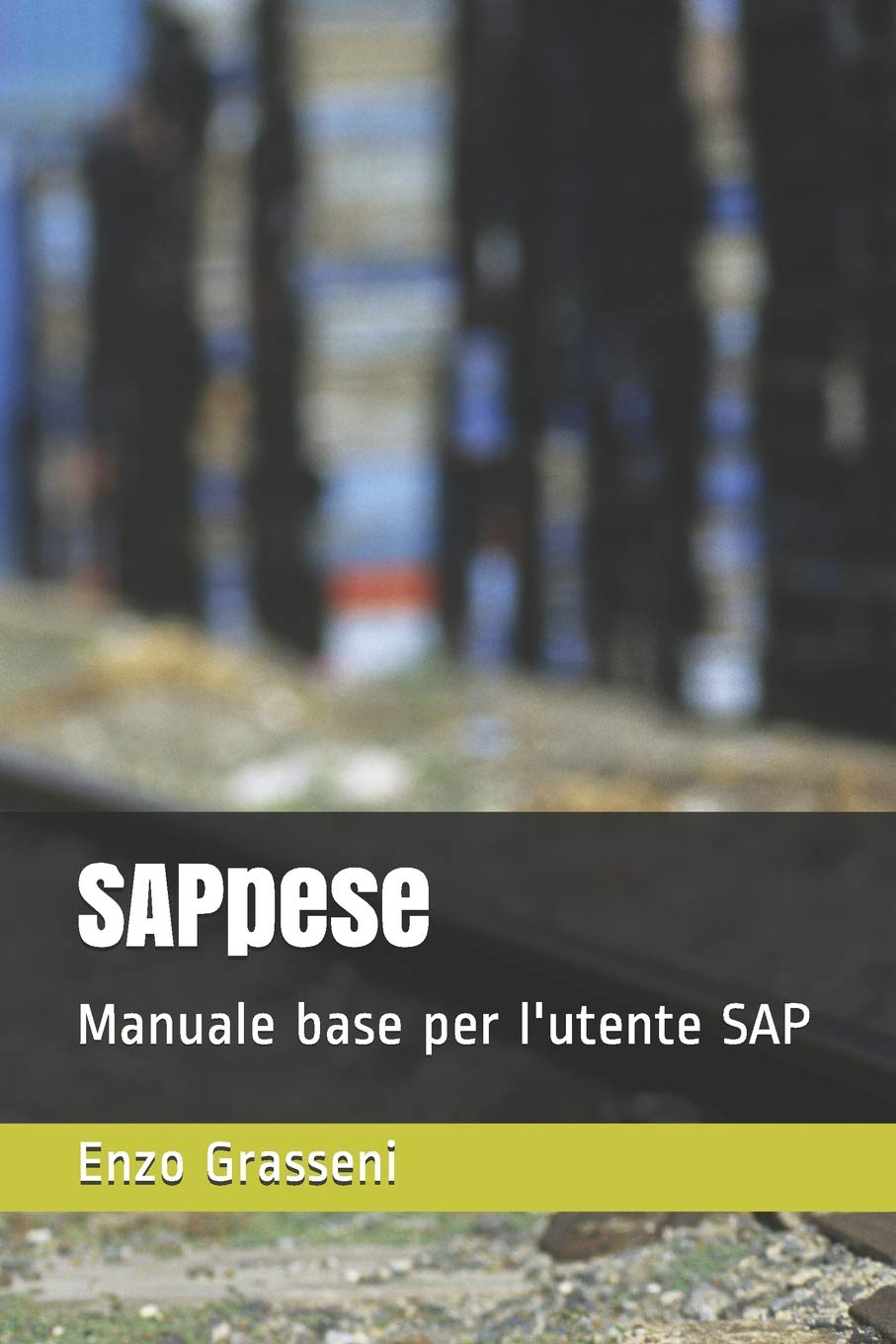 SAPpese: Manuale base per l'utente SAP (Manuali SAP per utenti, Band 1) Study Guides