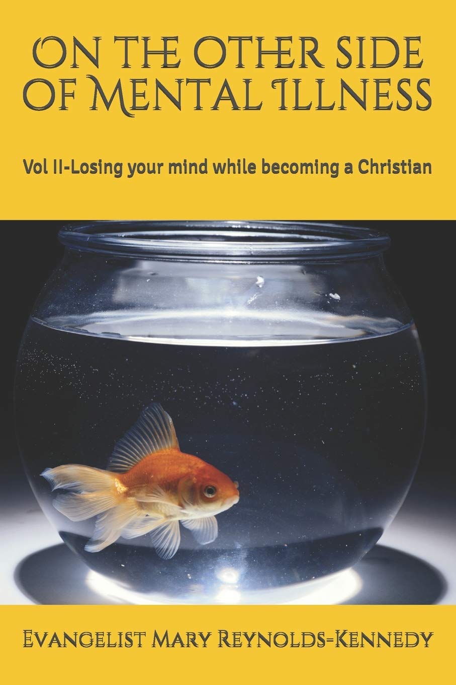 On the other side of Mental Illness: Vol II (Losing Your Mind While Becoming a Christian) Psychology