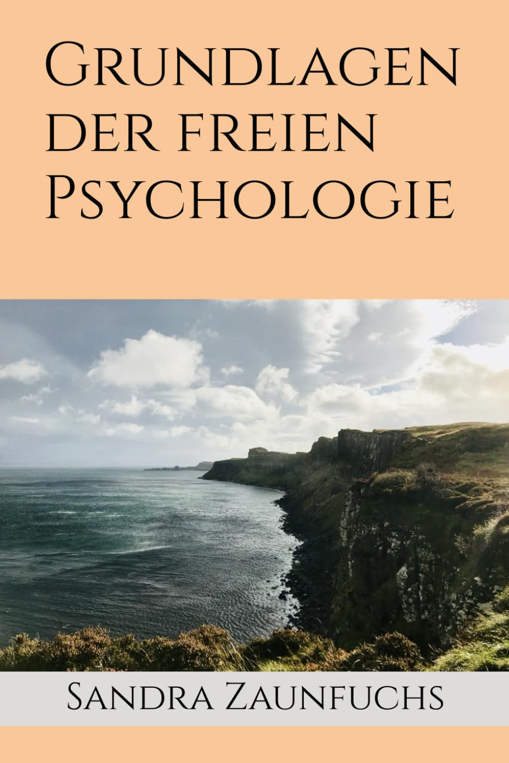 Grundlagen der freien Psychologie: Inspirationen für eine selbstbestimmte Lebensführung Social Sciences