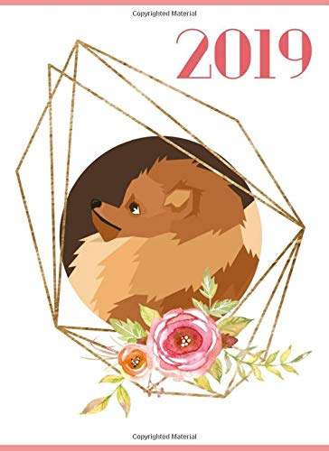 2019: Daily Planner Pomeranian Business, Finance & Career