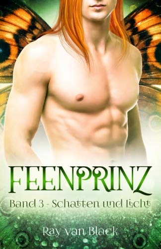 Feenprinz - Band 3: Schatten und Licht - Gay Fantasy (Feenprinz-Reihe, Band 3) LGBTQ+